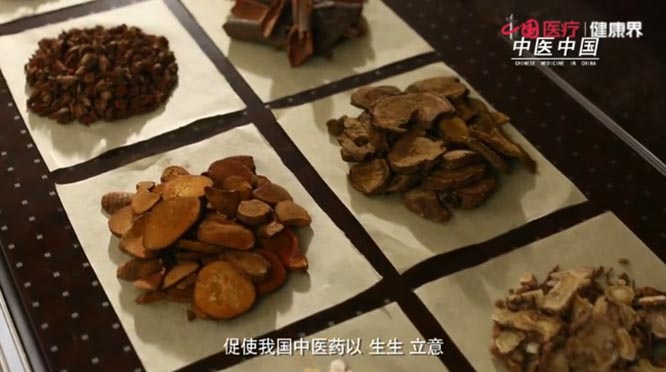 【健康中国-中医药】带你领略中医之美：《中医中国》第六集 生息   健康丝绸之路  健康中国 中医药  一带一路