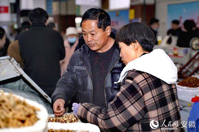 “中华药都”安徽亳州药市开市   中医文化  中医药  传统文化  一带一路 