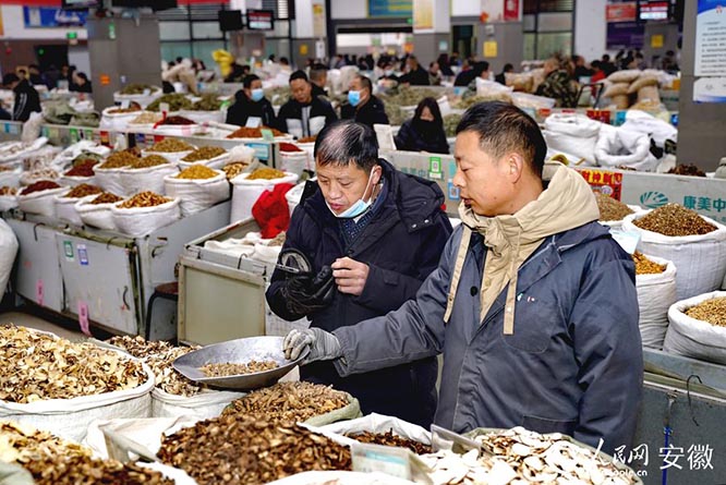 “中华药都”安徽亳州药市开市   中医文化  中医药  传统文化  一带一路 